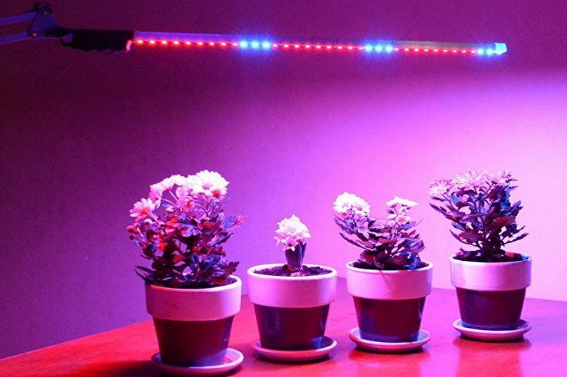 Лампы для растений - Светодиодные фитолампы