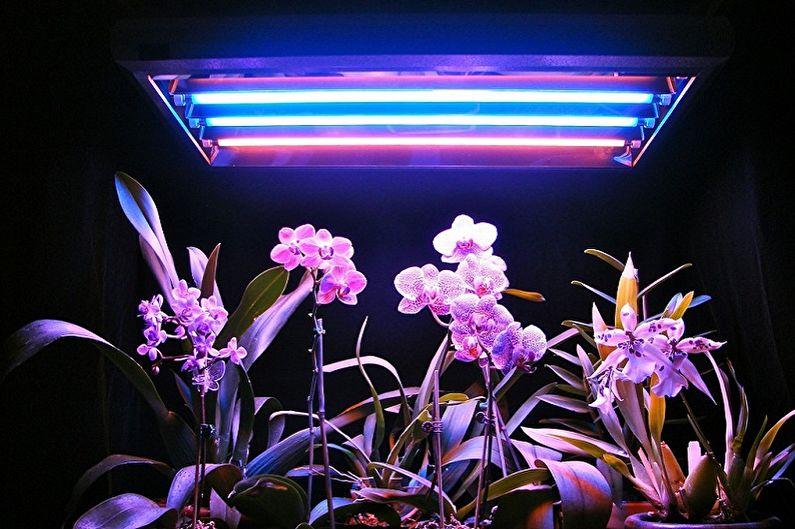 Лампы для растений - Люминесцентные лампы