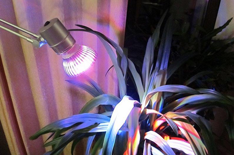 Как правильно выбрать лампу для растений