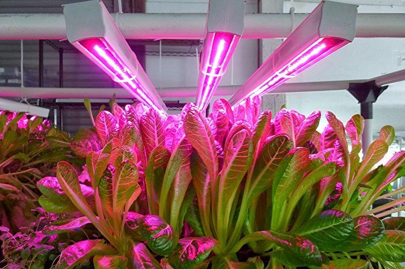 Лампы для растений - фото