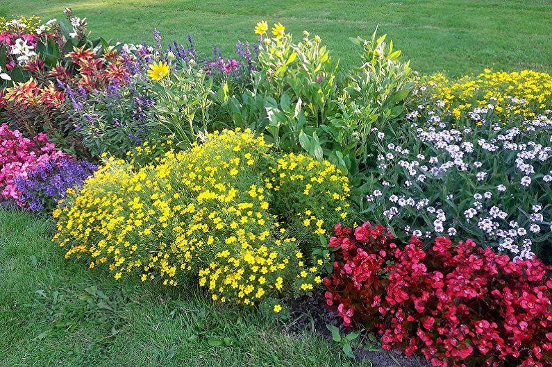 Как оформить клумбу из многолетних цветов для дачи и сада