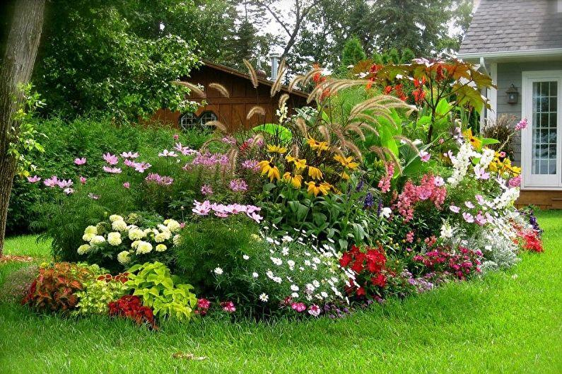 Многолетние цветы для дачи и сада - фото