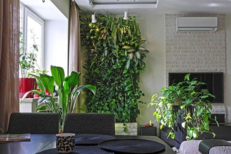 Вьющиеся комнатные растения - фото